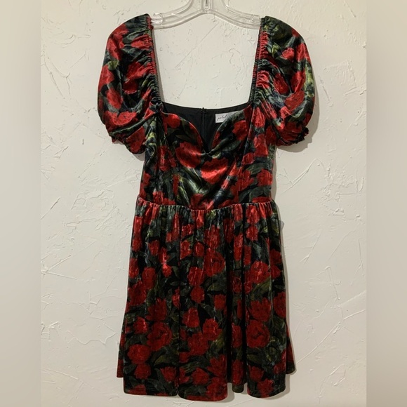 Petal & Pup Anders Floral Burnout Velvet Minidress Black Red Sz Small - Picture 2 of 14